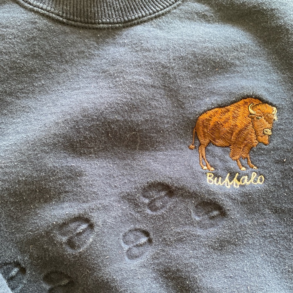 Buffalo Ny - image 3